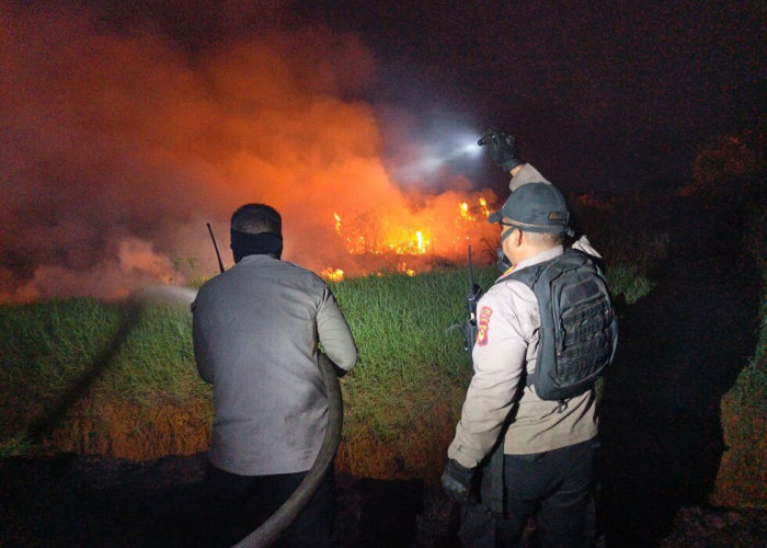 10 Hektare Lahan di Pulau Negara Ogan Ilir Terbakar, Kapolsek Pemulutan Ikut Padamkan Api Hingga Dini Hari