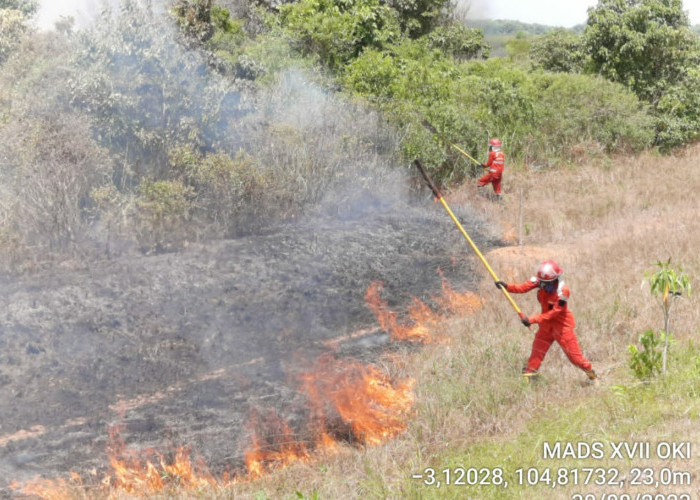 Palembang Dikepung Kabut Asap, WALHI : Sumsel 'Dikelilingi' Ratusan Titik Api Akibat Pembakaran Lahan