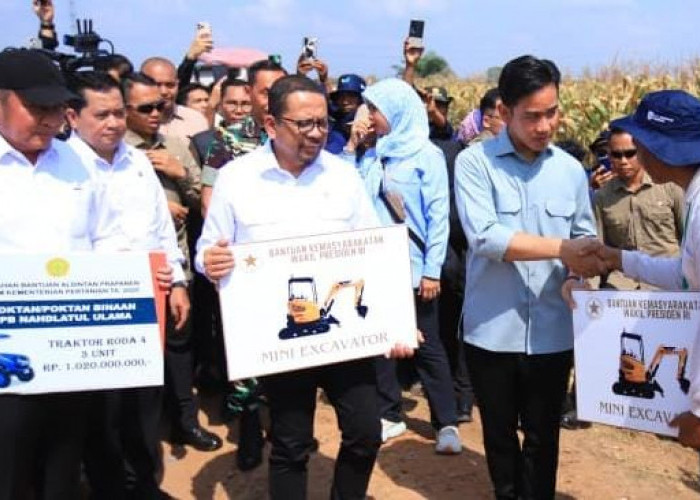 Dukung Program Asta Cita Presiden Prabowo Subianto, Gibran Panen Jagung di Banyuasin