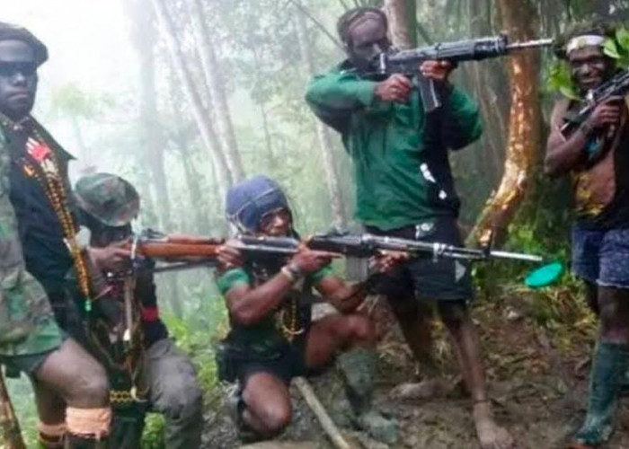 KKB Papua Mulai Pecah, Saling Serang Antar Kelompok Hingga Dikabarkan Pimpinan KKB Jhoni Botak Meregang Nyawa