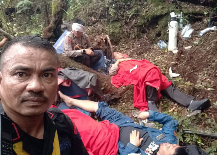 Tim SAR, Basarnas dan Medis Tiba di Lokasi Kecelakaan Helikopter, Kapolda Jambi dan Rombongan Ditemukan 