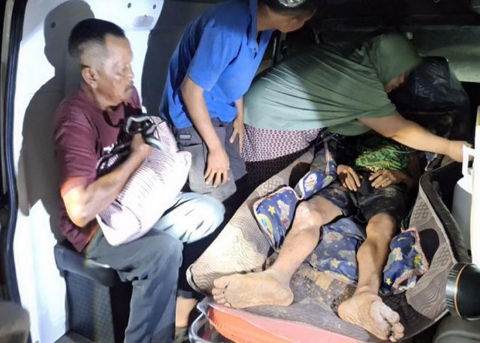 Hendak BAB, Pria di Siak Diterkam Harimau, ini Kondisinya
