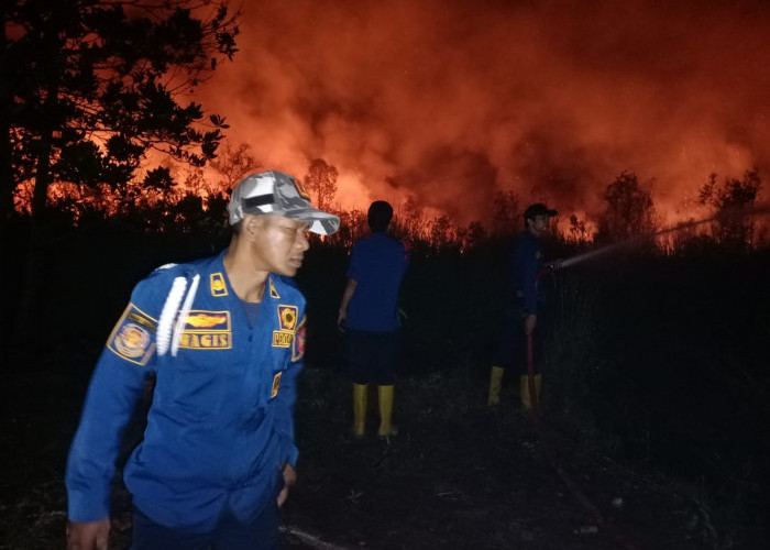 Sempat Panik, Kebakaran Lahan di Talang Kelapa Banyuasin Hampir Sambar Rumah Warga