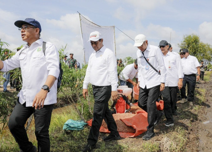 Kunjungan Kerja ke Sumsel, Menteri Pertanian Kejar Produksi Pangan melalui Optimalisasi Lahan Rawa