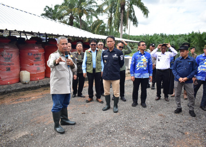 Petani OKI Panen Perdana Sawit Program PSR