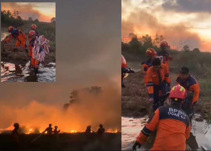 Sukses Atasi 2 Titik Kebakaran Hutan di Ogan Ilir, BPBD Ungkap Kendala Terbesar 
