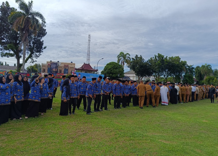 Wajib Tahu! Batas Usia Pensiun Honorer yang Diangkat Jadi PPPK Berdasarkan Jabatan