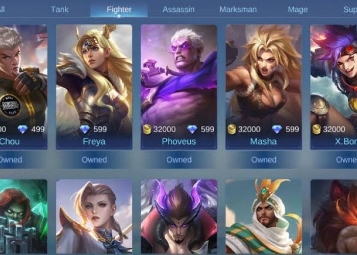 Panduan Lengkap Cara Menggunakan Hero Role Fighter di Mobile Legends