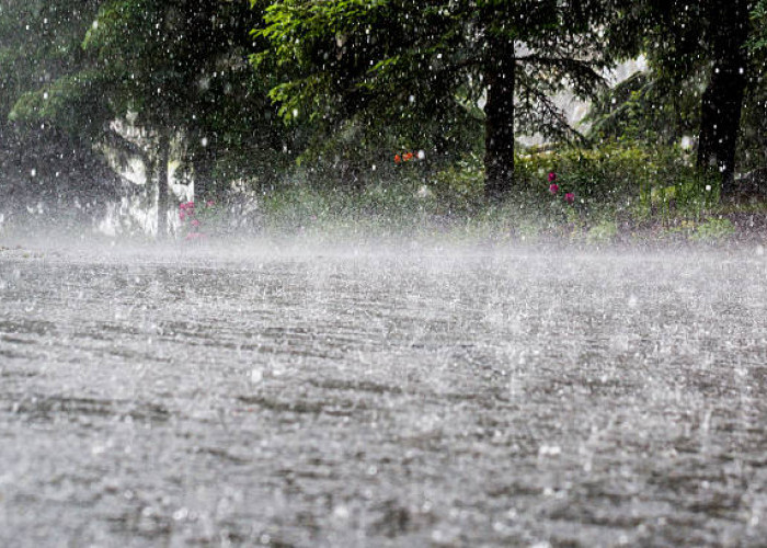 Kabupaten Musi Banyuasin Bakal Diguyur Hujan Siang-Malam, Prakiraan Cuaca Selasa 4 Juli 2023