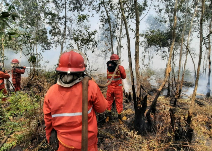 6 Hari Lahan Gambut di Pampangan Kabupaten OKI Masih Terbakar