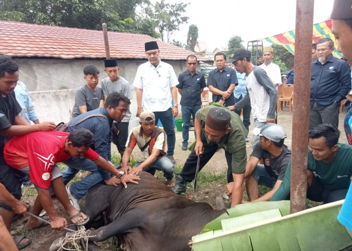 Sukses Bisnis dan Berbagi, PT SBS Potong Hewan Kurban untuk Warga Ring 1 di Muara Enim