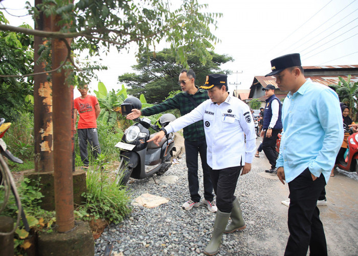 Pj Gubernur Sumsel Elen Setiadi Tinjau Jalan Rusak di Gandus Palembang, Segera Dilakukan Perbaikan