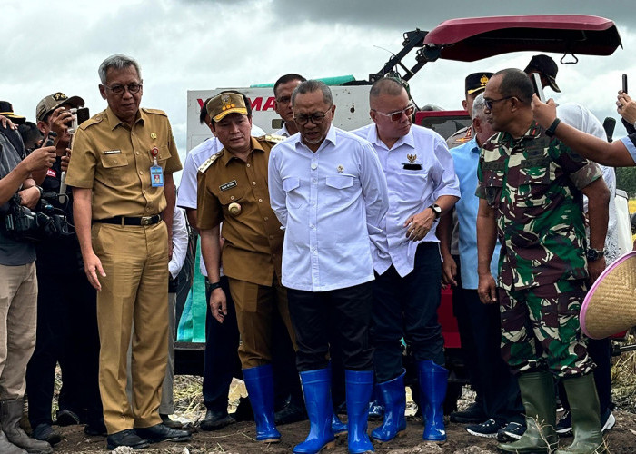 Zulhas Tegaskan Pabrik Padi Wajib Beli Gabah Petani Seharga Rp 6.500/Kg