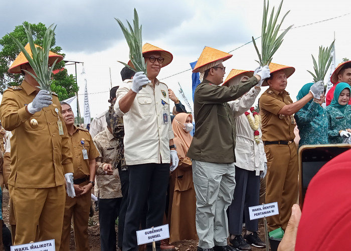 Tanam Nanas Saat Kunjungan Kerja ke Kota Prabumulih, Wamentan Harvick : Rasanya Manis Sekali