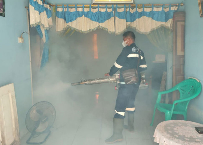 DBD Serang Sematang Borang, Wawako Palembang Minta Fogging Dilakukan di Seluruh Kecamatan