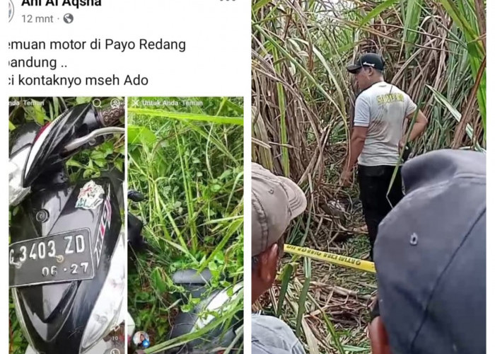 BREAKING NEWS! Seorang Wanita Hamil Ditemukan Tergeletak Tak Bernyawa di Kebun Tebu Desa Seribandung Ogan Ilir