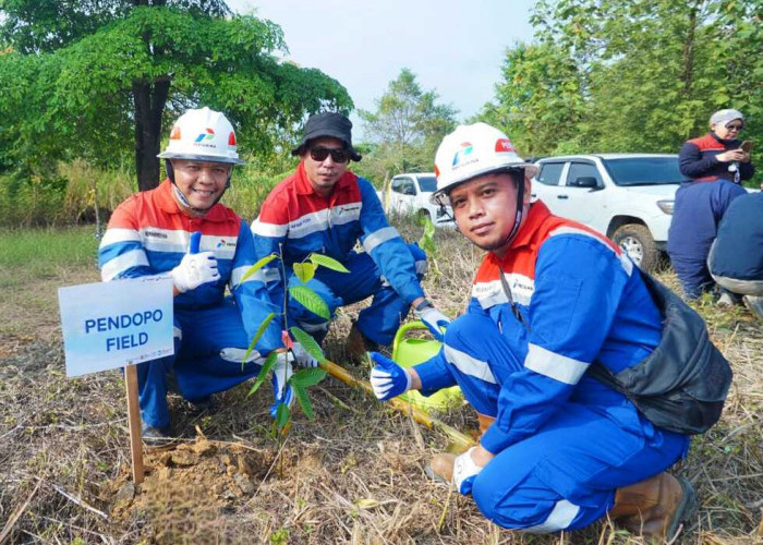 Pertamina EP Zona 4 Tanam Pohon di Musi Rawas, Demi Jaga Jalur Pulang Gajah Sumatera