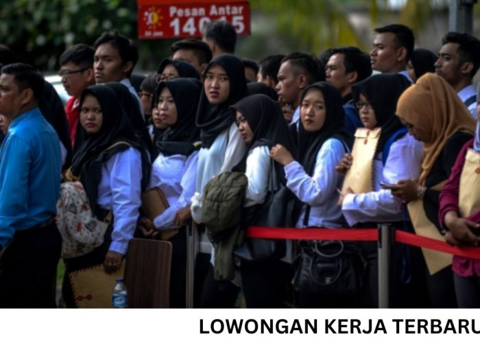 Cari Kerja? Ini Lowongan Pekerjaan Terbaru Semua Jenjang Pendidikan dari SMA hingga S1: Info Lengkapnya Disini