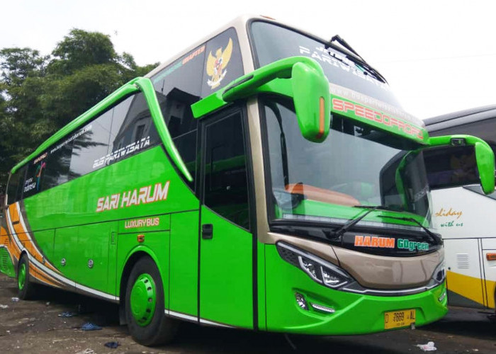 Libur Nataru! 7 Rekomendasi Bus Rute Palembang-Jakarta, Update Jadwal dan Harga Tiket