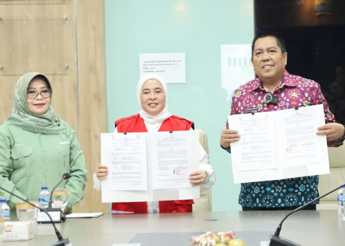 Peringatan HUT Kota Palembang ke-1342, PMI dan BPKAD Gelar Donor Darah Rutin untuk ASN
