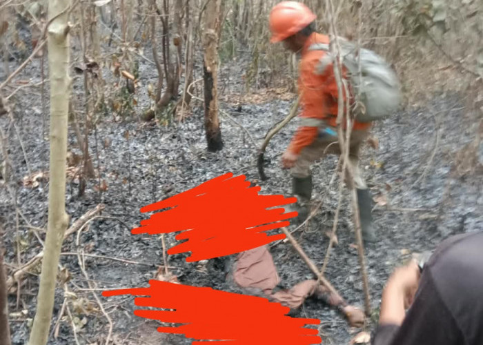 Warga Tulung Selapan Meninggal Dunia Diduga Terhirup Asap Karhutla Usai Padamkan Api di Kebun