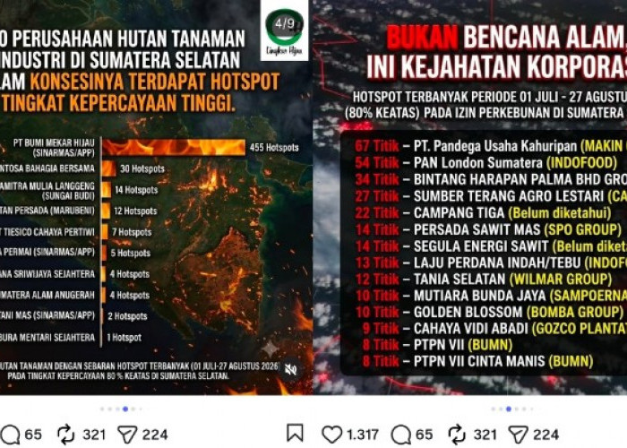 Beredar Daftar 10 Perusahaan HTI Diduga Penyumbang Hotspot Terbanyak di Provinsi Sumsel