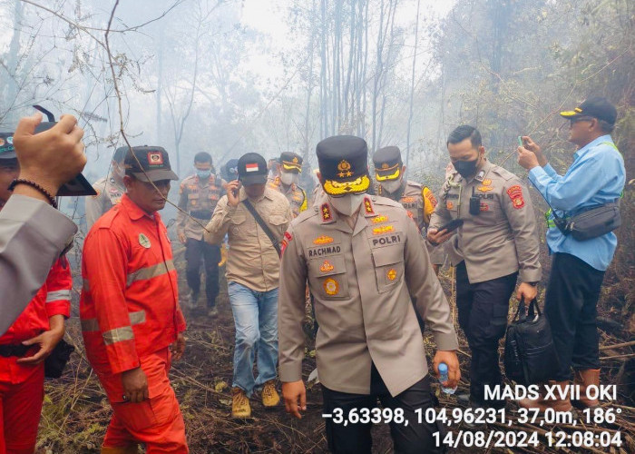 Kapolda Sumsel Cek Karhutla di Lempuing Jaya, Pertebal Personel BKO dan Brimob ke Lapangan