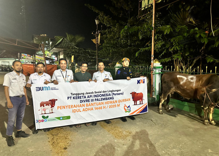 KAI Divre III Palembang: Berbagi 30 Sapi Hewan Kurban di Wilayah Operasional pada Momen Idul Adha 1446 H 