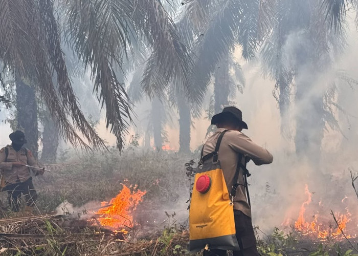 Karhutla Muncul di OKI, Polda Sumsel Turunkan Personel Operasi Aman Nusa II