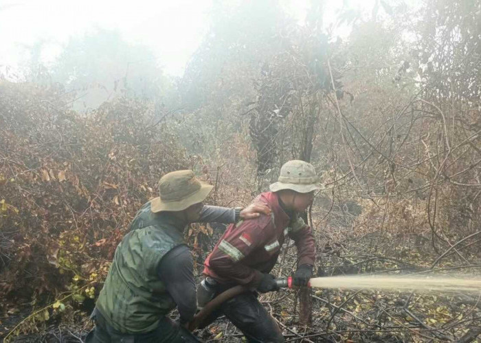 HBM Kerahkan Respons Terpadu Pengendalian kebakaran dan Perlindungan Ekosistem Gambut di Bayung  Lencir