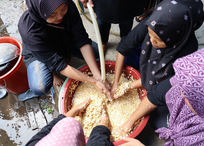 Kolaborasi PT Bukit Asam dan IZI, Berdayakan Warga Desa Prabu Menang Lewat Program Tempe Inovatif