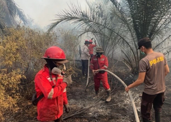 17 Hektare Lahan Terbakar di Pemulutan Ilir Berhasil Dipadamkan Personel Polri dan Tim Gabungan