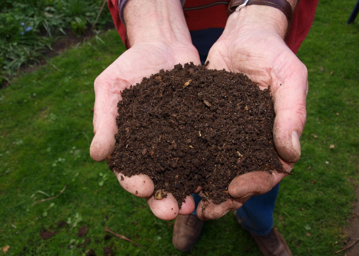 Langkah Membuat Pupuk Kompos, Bantu Lingkungan dan Meningkatkan Pertumbuhan Tanaman