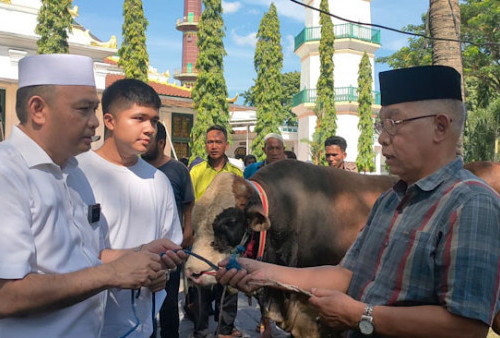 PT Budiputra Multifarm Serahkan Satu Sapi Milik BOMBA GROUP ke Masjid Agung Palembang 