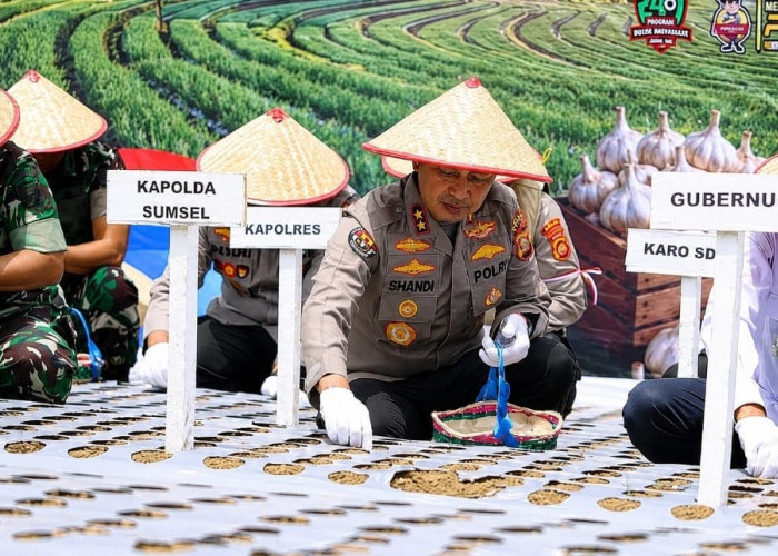Polda Sumsel Siapkan 81 Hektare Lahan, Target Panen 810 Ton Bawang Putih, Serentak Lima Wilayah