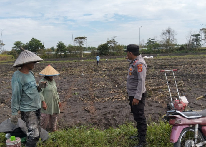 Polsek Indralaya Ogan Ilir Laksanakan Penanaman Jagung untuk Dukung Program Ketahanan Pangan