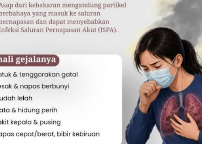 Waspada! 5 Bahaya Kabut Asap Karhutla bagi Kesehatan, Bisa Ganggu Paru-paru hingga Jantung