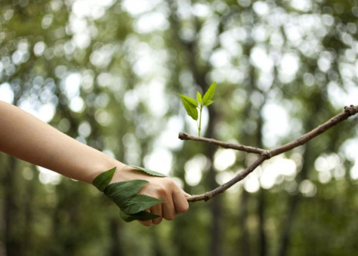 Kenali Grounding, Kegiatan Menghubungkan Diri dengan Alam yang Punya Sejuta Manfaat Kesehatan 