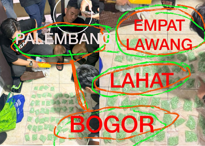 4 Fakta Ungkap Kasus Sindikat Narkoba Terbesar di Sumsel, Menyasar Pekerja Tambang & Perkebunan di Sumsel