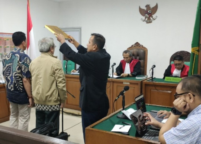 Karhutla PT Bintang Harapan Palma Dinilai Sebabkan Kerusakan Serius Terhadap Lingkungan dan Makhluk Hidup