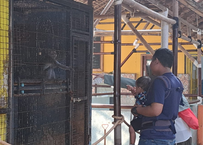 Libur HUT RI, Bird Park Banjir Pengunjung