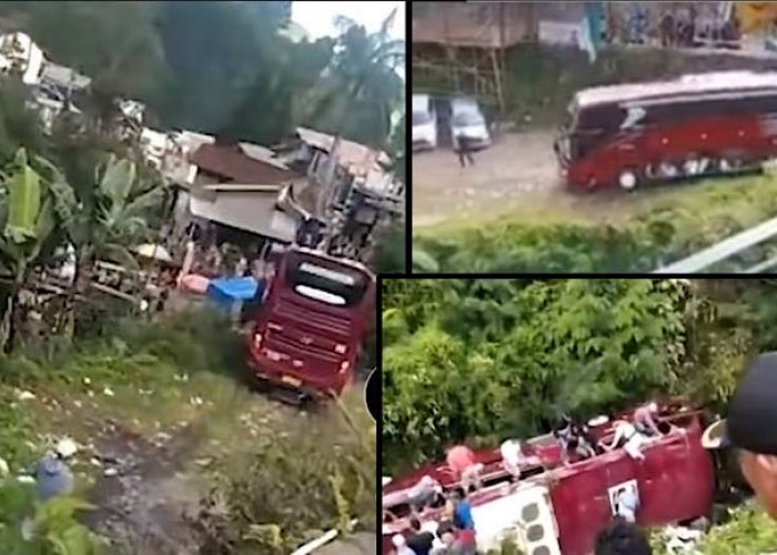 Viral, Video Bus Rombongan Wisatawan Jakarta Masuk Jurang di Guci Tegal, Warga Serentak Jadi Relawan Evakuasi 