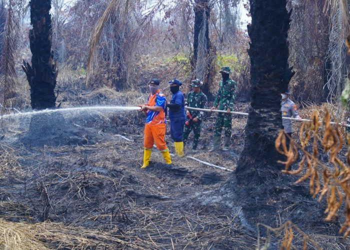 Masih Titik Panas di Lahan Gambut, Bupati Muba Puji Warga Muara Medak Bahu Membahu Padamkan Karhutla