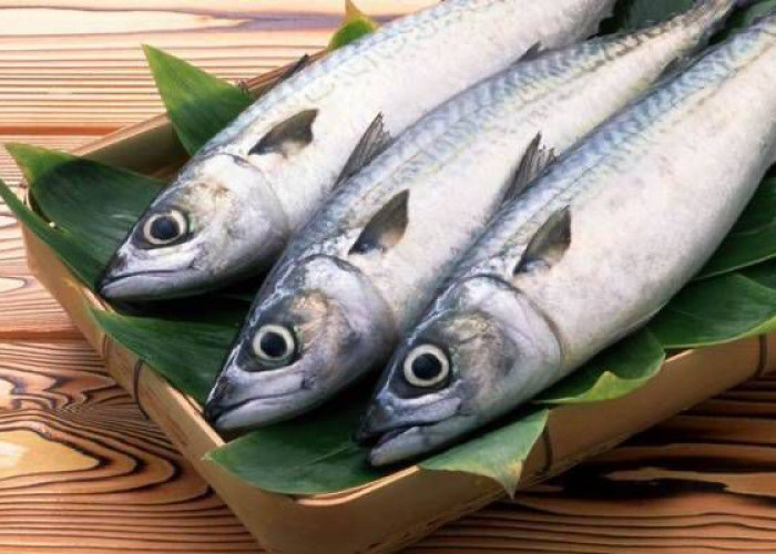 Kaya Omega 3, Ikan Tongkol Baik untuk Kesehatan: Cocok untuk Menu Lezat dengan Kesehatan