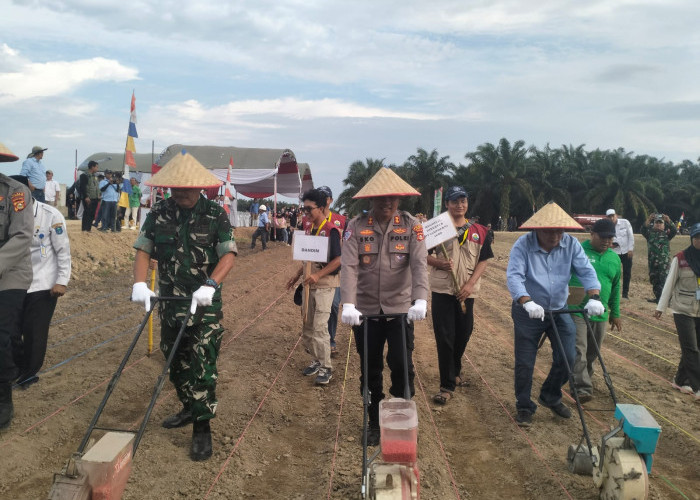 Sinergi Masyarakat dan Pemerintah: Penanaman Jagung Serentak Kuartal III di Kebun Desa Rantau Durian II OKI