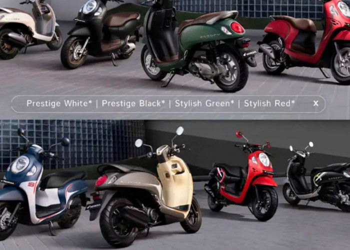 Update Harga Honda Scoopy Seken di Januari 2026: Skutik Redro Modern  dengan Tampang Imut yang Kian Terjangkau
