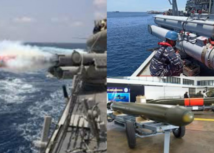 Ngeri, Torpedo Buatan Asli Indonesia Kembali Dipublikasikan, Daya Tembak Sejauh 40 Km, Negara Lain Ketar-Ketir