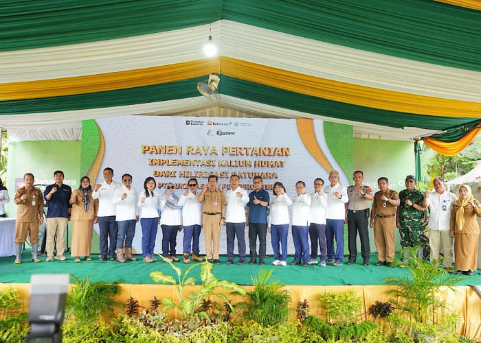 Panen Raya Hasil Padi Kalium Humat Bukti Hilirisasi Batubara Dukung Ketahanan Pangan Nasional