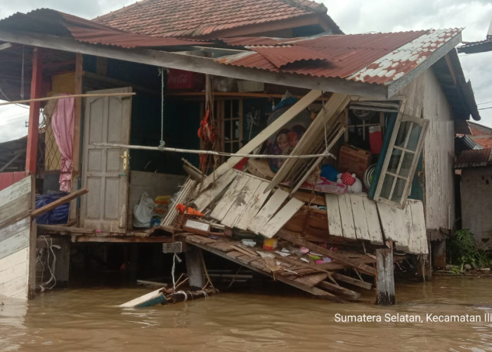 Sungai Musi Pasang, Tongkang Batu Bara Tabrak Jukung Pengangkut Buah Kelapa dan Rumah Warga 