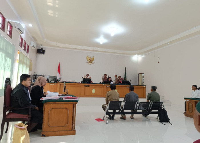 Tiga Terdakwa Penangkaran 58 Ekor Buaya di OKI Dihukum Hakim Lebih Ringan dari Tuntutan Jaksa